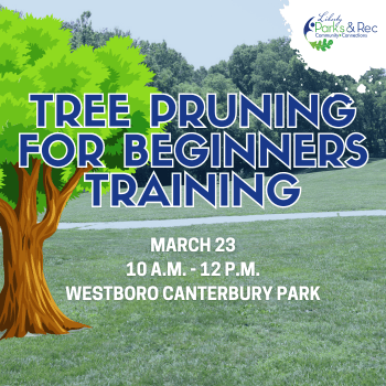 NewsFlash Spotlights (33)