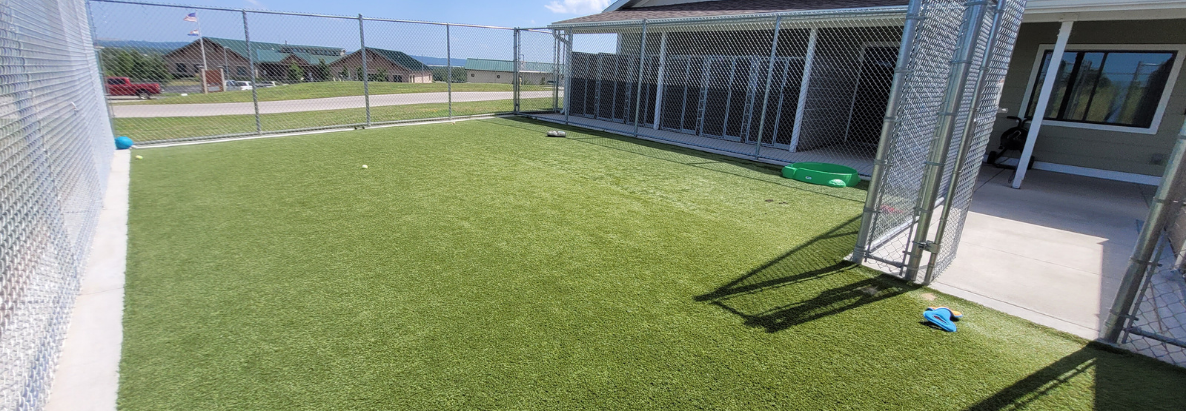 Liberty Animal Shelter Outside Play Area