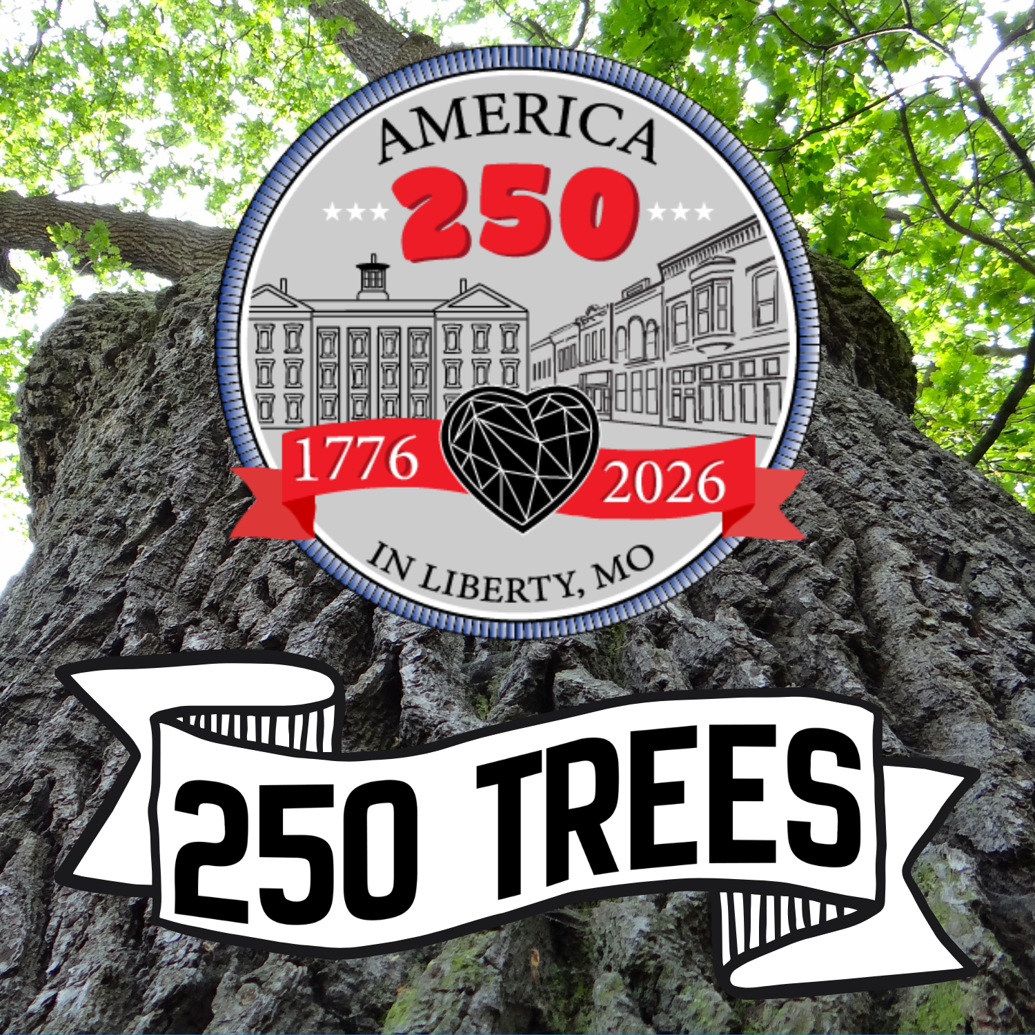 Tall tree pictured with America 250 logo.