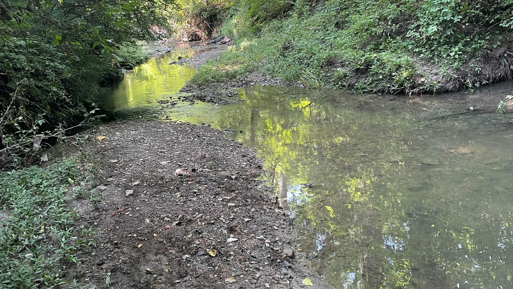 Photo of creek bed erosion